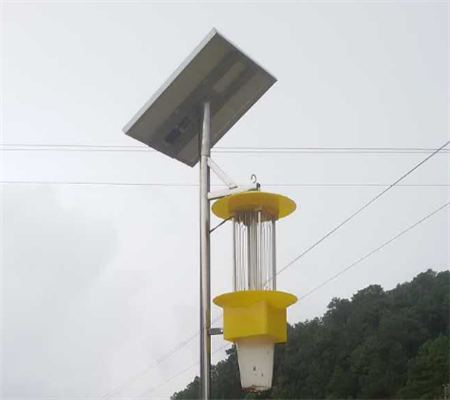 新疆棉田用太陽能殺蟲燈滅蟲 降低農藥使用保護