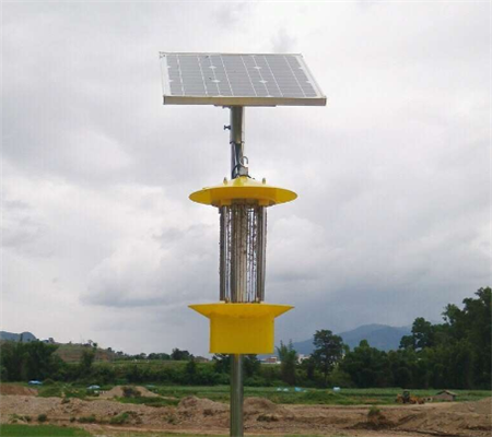 太陽能殺蟲燈給蔬菜地帶來的經(jīng)濟效益