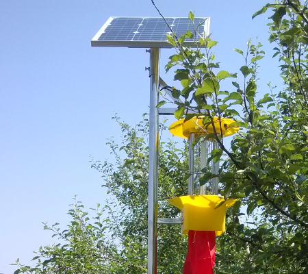 泗水鎮(zhèn)：殺蟲燈綠色防治 保障蔬菜質(zhì)量