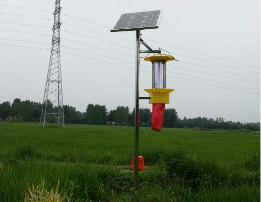 靈川縣迎來農田“綠色衛(wèi)士”-云飛牌太陽能殺蟲