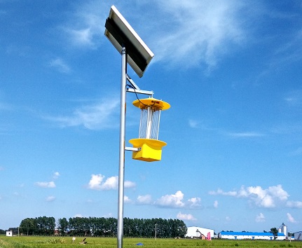 水稻機插秧播種方法