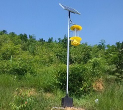 山區(qū)農用太陽能殺蟲燈