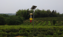 太陽能殺蟲燈順應現(xiàn)代農(nóng)業(yè)發(fā)展