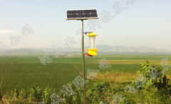 戶外殺蟲(chóng)燈在果樹(shù)苗圃中的作用