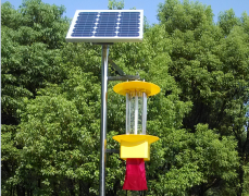 殺蟲(chóng)燈成為了果園害蟲(chóng)的天敵