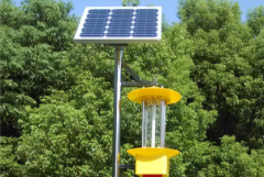 殺蟲(chóng)燈對(duì)荔枝病蟲(chóng)害的防治效果顯著