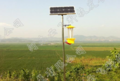 太陽能殺蟲燈有助于建設綠色花生品牌