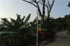 云飛自動(dòng)清蟲太陽(yáng)能殺蟲燈推動(dòng)閩清縣橄欖產(chǎn)業(yè)