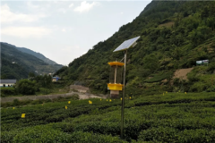 云飛自清蟲太陽(yáng)能殺蟲燈為五峰茶出口歐盟提供