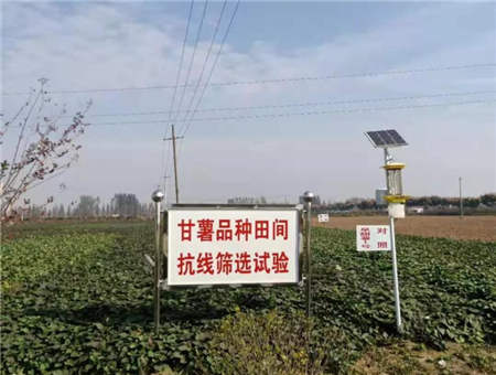 太陽(yáng)能殺蟲燈