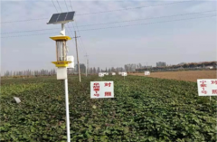 云飛太陽(yáng)能殺蟲燈入駐安徽大學(xué)試驗(yàn)田！