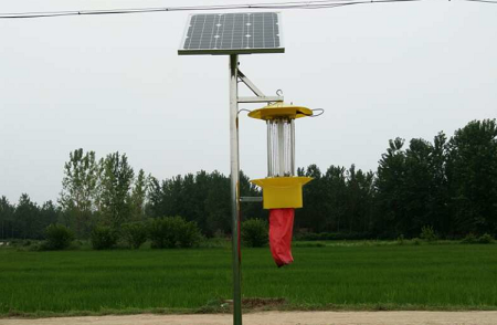 太陽(yáng)能殺蟲燈